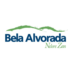 belaalvorada