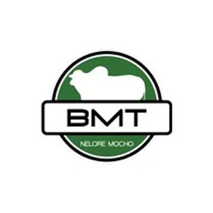 bmt